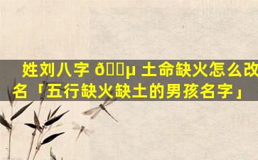 姓刘八字 🐵 土命缺火怎么改名「五行缺火缺土的男孩名字」